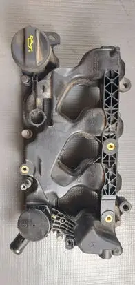 Peugeot Partner III Rocker cam cover P1001845