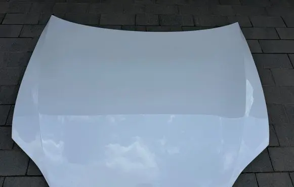 Tesla Model S Plaid Engine bonnet/hood TESLAPLAIDS