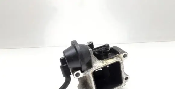 Volvo V70 EGR valve