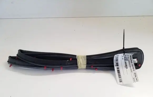 Nissan Qashqai Front door rubber seal 80831JD000