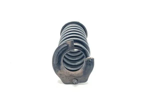 Rear coil spring