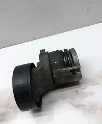 Audi A4 S4 B7 8E 8H Generator/alternator belt tensioner 028903615