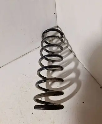 Rear coil spring