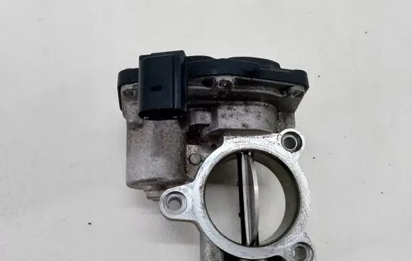 Throttle body valve