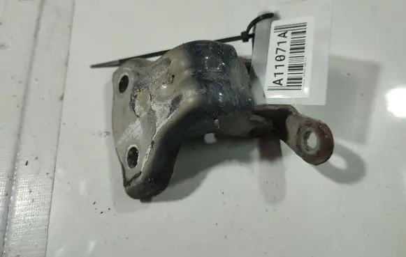 Chevrolet Captiva Rear door lower hinge 