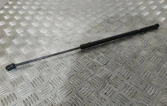 Tailgate/trunk strut/damper