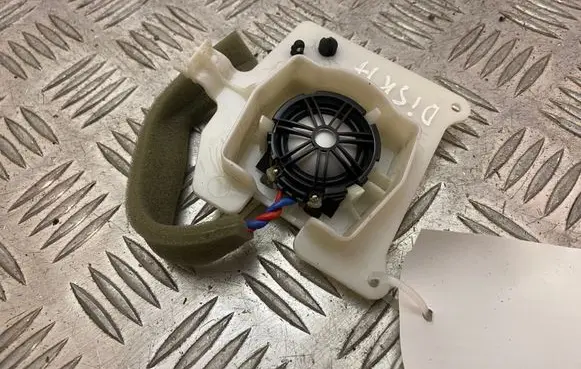 Front door high frequency speaker