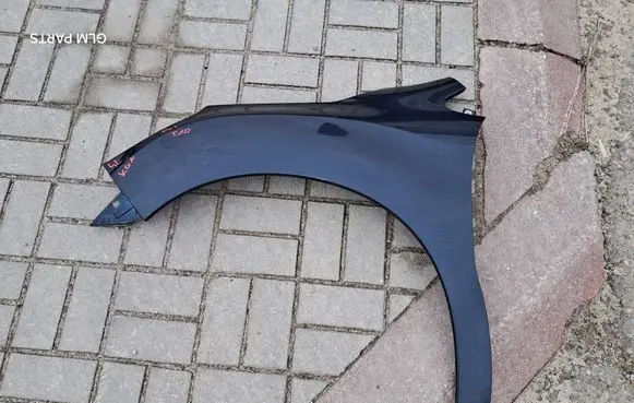 Citroen DS4 Fender
