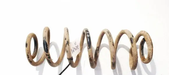 Volkswagen Golf V Rear coil spring