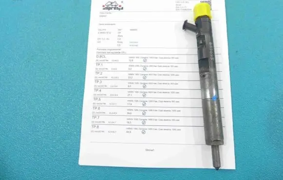 Renault Scenic II - Grand scenic II Fuel injector EJBR02101Z IMPRK889695