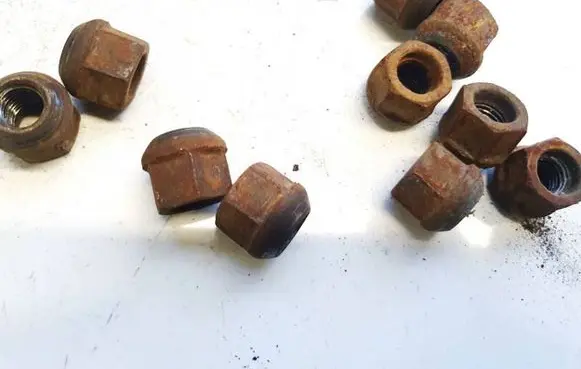 Nuts/bolts