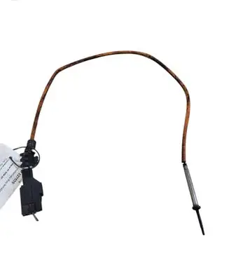 Exhaust gas temperature sensor