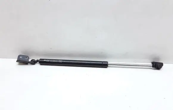 Chrysler Pacifica Tailgate/trunk strut/damper