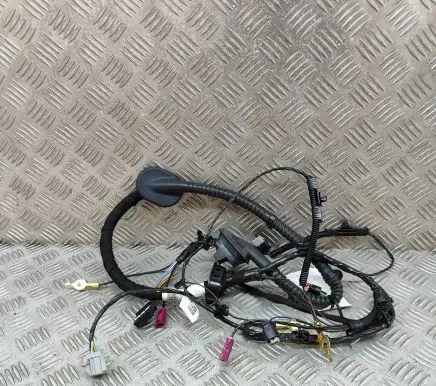 Tesla Model 3 Other wiring loom 206878901B