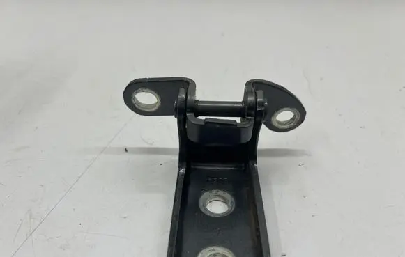 Rear door lower hinge