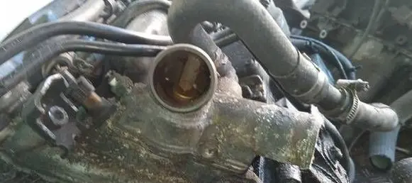 Opel Vectra B Engine coolant pipe/hose