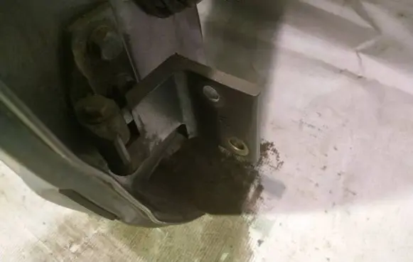 Peugeot 406 Rear door lower hinge