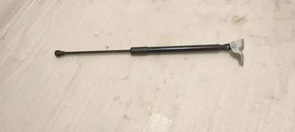Dacia Sandero III Tailgate strut 904525475R