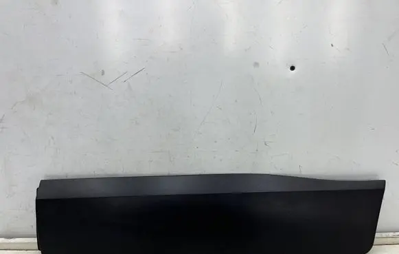 Opel Crossland X Rear door trim (molding) 13482100