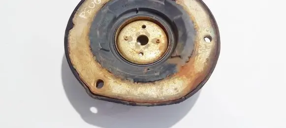 Coil spring mount