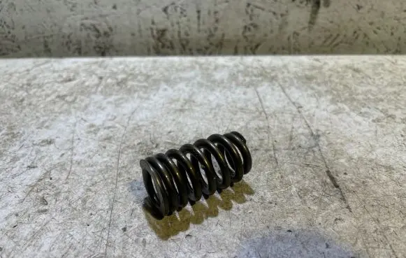 Dodge Challenger Valve spring 