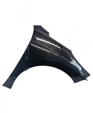 Peugeot 207 CC Fender