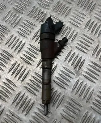 Peugeot 406 Fuel injector 0445110008 9635196580