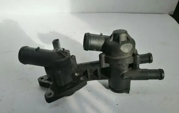 Thermostat/thermostat housing