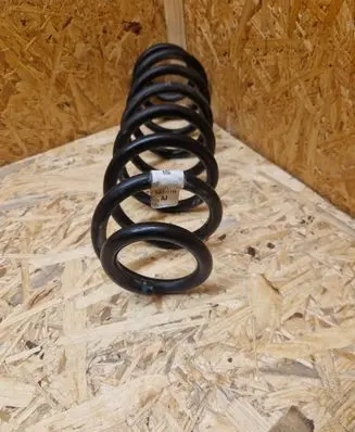 Rear coil spring
