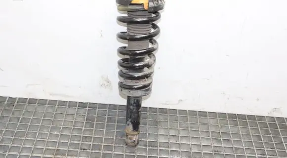 Jaguar F-Type Rear shock absorber/damper EX5380BD