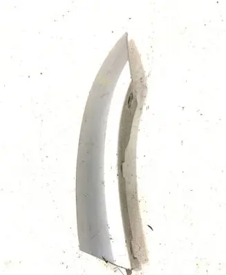 Fender trim (molding)