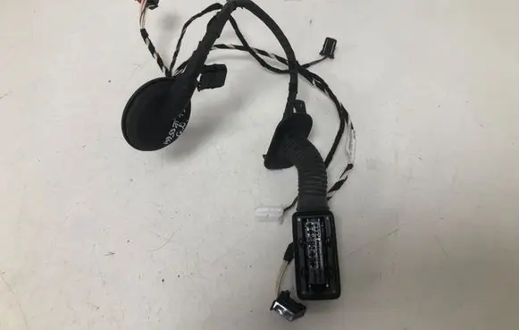 Volkswagen PASSAT B8 Rear door wiring loom 3G071694F