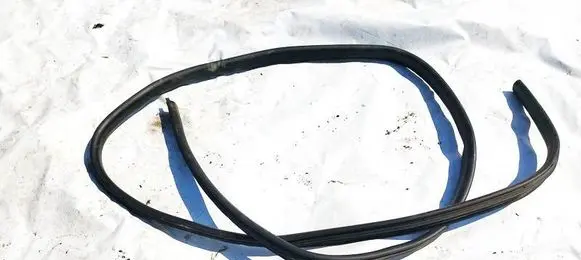 Dacia Sandero Rubber seal rear door
