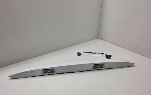 Ford Ecosport Number plate light GN1517N400