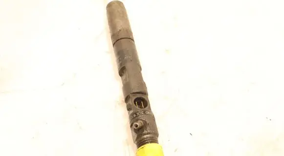 Renault Clio III Fuel injector