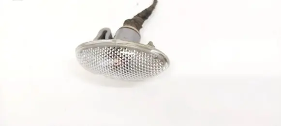 Ford Focus Front fender indicator light