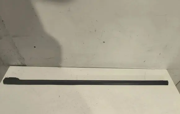 Ford Focus C-MAX Front door trim (molding) 3M51r20562