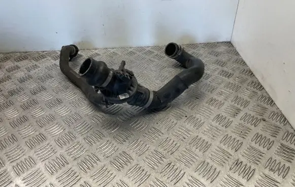 Thermostat/thermostat housing
