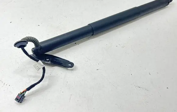 Tailgate/trunk strut/damper