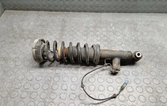 BMW X3 F25 Rear shock absorber/damper 6799911