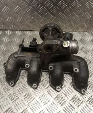 Ford Focus Intake manifold