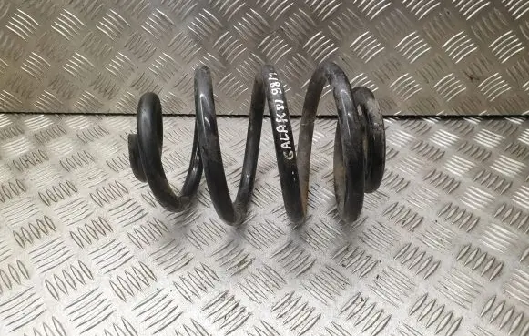 Rear coil spring