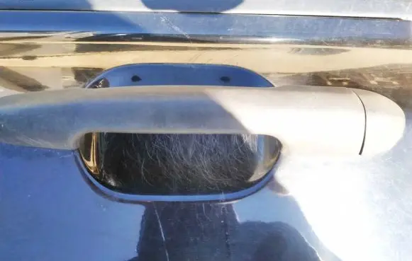 Fiat Stilo Front door exterior handle