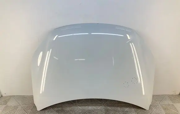 Volkswagen Tiguan Engine bonnet/hood 