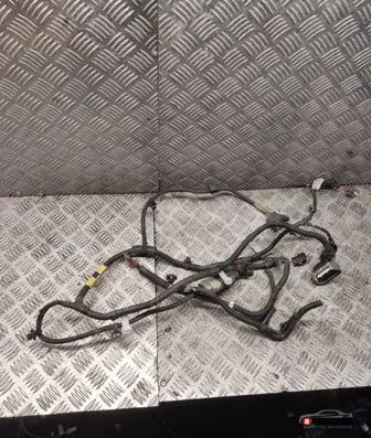 Tesla Model 3 Other wiring loom 206796801B
