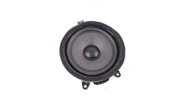 Rear door speaker