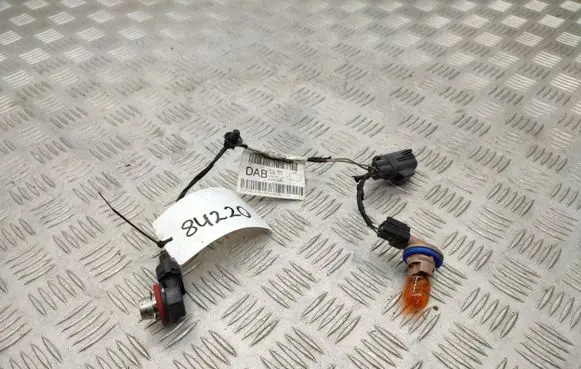 Ford Ecosport Headlight/headlamp wiring loom/harness GN1513A318DAB