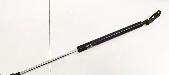 Tailgate/trunk strut/damper