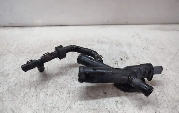 Thermostat/thermostat housing