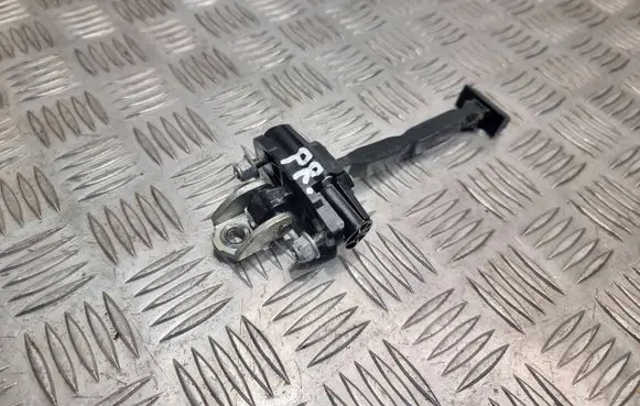Ford C-MAX II Front door check strap stopper 